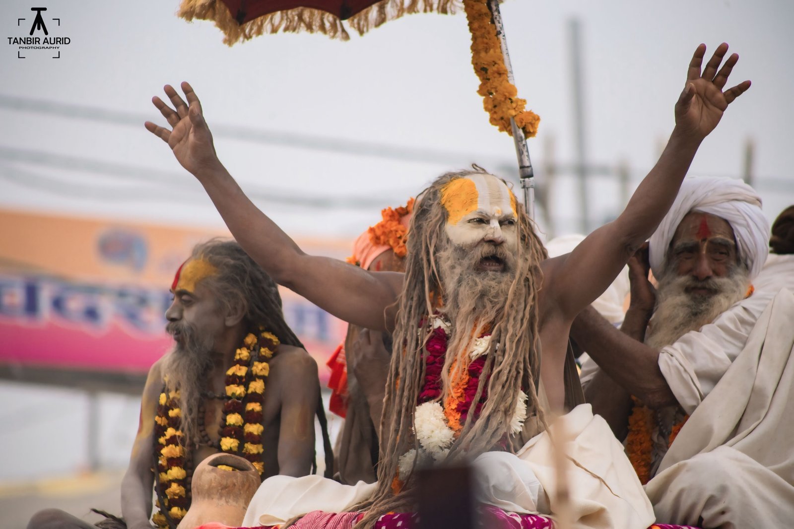 Portrait of a Naga Sadhu with long matted dreadlocks at the Kumbh Mela