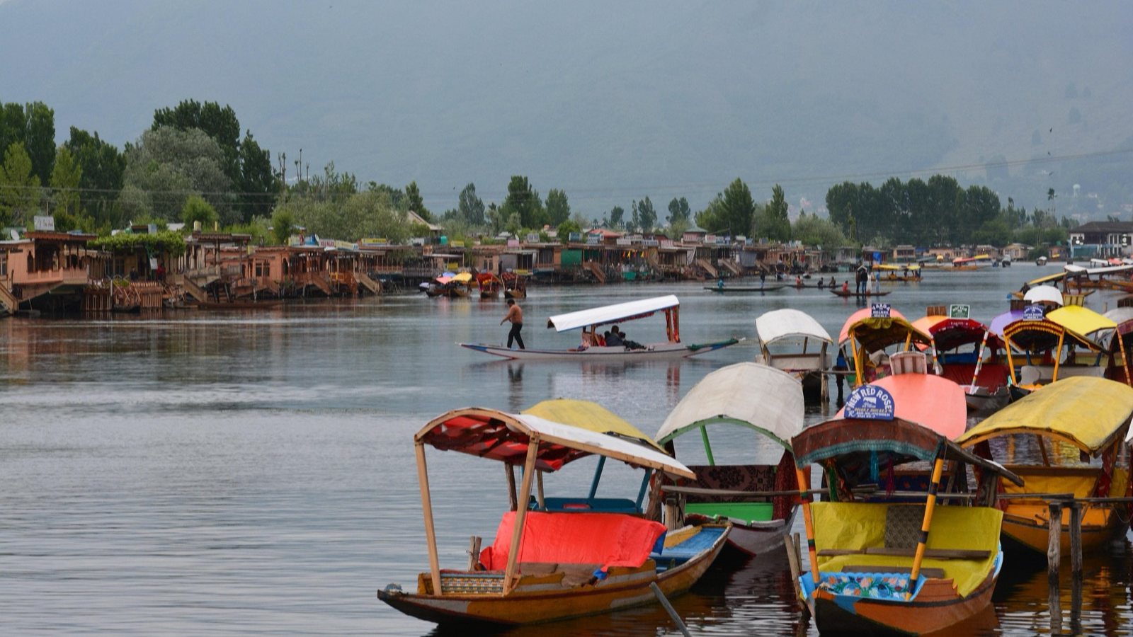 Brightly painted shikaras moored on Dal Lake, Srinagar