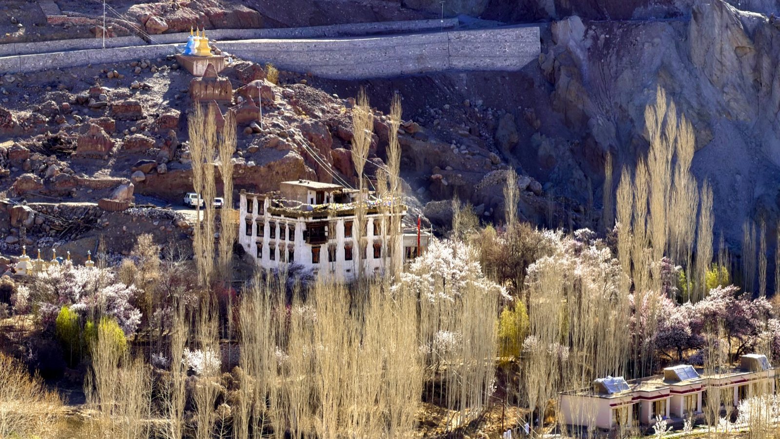 Lamayuru village and monastery seen from above, Ladakh