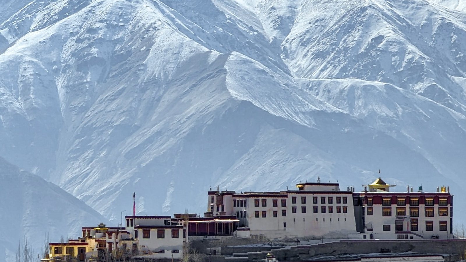 Leh Palace with the snow range behind, Ladakh