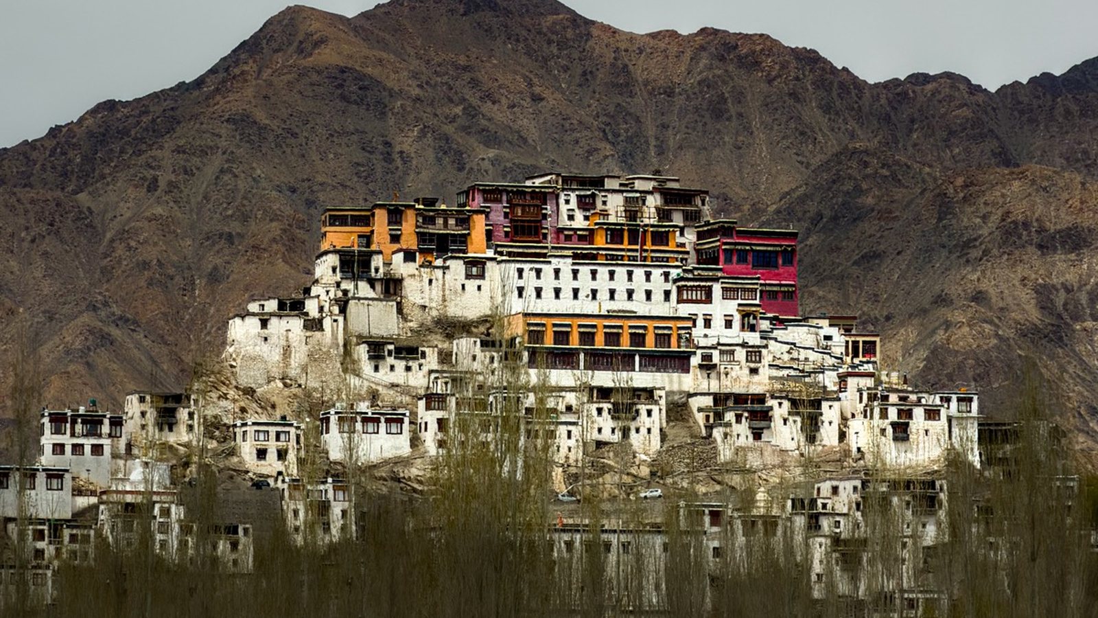 Thiksey Monastery rising above the Indus valley, Ladakh