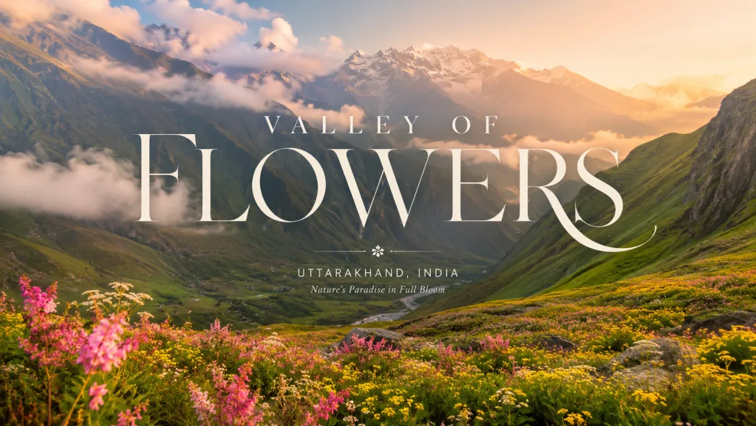 Valley of Flowers